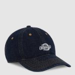 cappello dickies