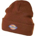 cappello dickies