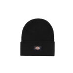 cappello dickies