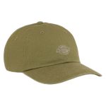cappello dickies