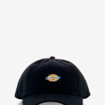 cappello dickies