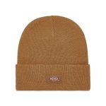 cappello dickies