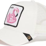goorin bros cappelli
